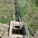 태양11호태양광발전소 이미지