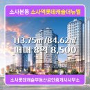 소사역공인중개사사무소 | 소사롯데캐슬부동산공인중개사사무소 소사역롯데캐슬더뉴엘 17층 매매 8억 8,500