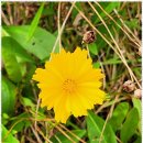 로뎀하우스 | 포천산정호수펜션 자연 속 힐링, 산정호수 로뎀하우스 펜션 후기