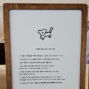 [카페 씨닉] 제주 반려견 동반 가능한 카페|제주 해안도로 카페|월정리카페 추천 🐶