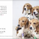 [카렌다]2020년 동행 달력 판매합니다!!! 이미지