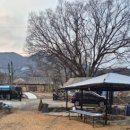 느티나무집펜션 이미지