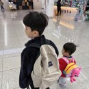 프로퍼밀도 이미지