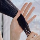 코닉스 | 트리코엑스 트리코닉스 탈모샴푸 내돈내산 후기