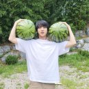 석진농장 이미지