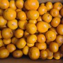 월석농장 이미지