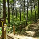 원수산MTB공원 이미지