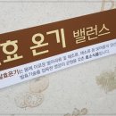발효진심