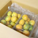 고팡하우스 이미지