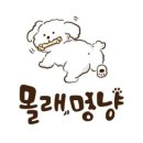 몰래멍냥 네이버블로그