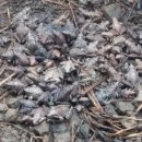 월학농장 이미지