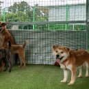 세일농장 이미지