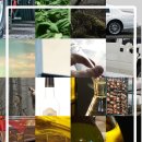 별빛아리수 이미지