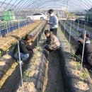 정읍시 농업기술센터 이미지