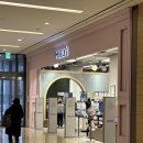 웰니스동물병원 스타필드 고양 이미지