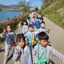 2024.04.09 갈산공원 벚꽃길 걷기&영어활동 이미지