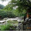 화음동민박 이미지