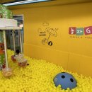 놀자GO 주니어 키즈카페 이미지