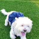 선녀바위로 5 이미지