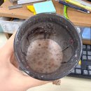 동서로13길 이미지