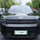 [신차 렌트] 26년 현대 산타페 2.0T 鉴赏家 Ultra 6인승 이미지