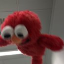 소소로이 이미지