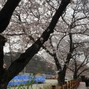 용당세월교 이미지