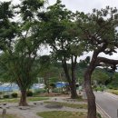 태봉초병설유치원 이미지