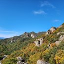 힐링랜드 이미지