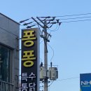 퐁퐁특수통닭 이미지