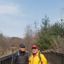 허밍웨이길 이미지