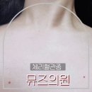 한솔신경정신과의원 | [안양 피부과] 내돈내산 체리혈관종 레이저 제거 솔직 후기 (ft. 범계 뮤즈의원 여자원장님)