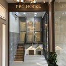 딜리동물병원 이미지