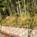 창원 내동패총 이미지