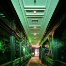 엘룬(elune) 이미지