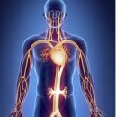 명지튼튼한의원 이미지