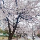 온가족미소한의원 이미지