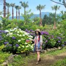 토평공단로 이미지