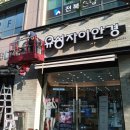 유성자이 안경 이미지