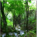 김삿갓면-19 이미지