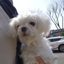 서사라동물병원 이미지