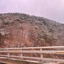 문화당 | 충주 맛집ㅣ깔끔한 한정식 코스요리 '문화당' 런치 솔직 후기