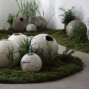 시로(shiro) 이미지