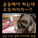 파이트타임즈