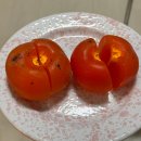 쟈마이커 | 218_주간일기 (11월 3일~)