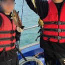 낚시매점 이미지