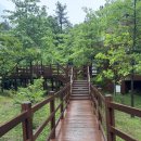 워터가드 | 운동화 방수 완벽하게! 장마철 필수템 ‘쉴더 워터가드’ 후기