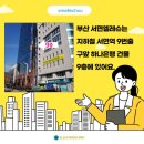 서면엘레슈의원 이미지