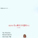 경매박사