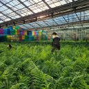 해궁참치 | [천안아산]참치회가 먹고 싶다면..? 해궁참치..? 솔직후기